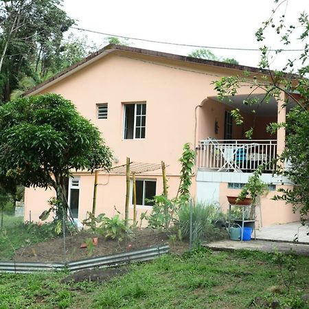 Maison Lavanne Saint-Joseph Ngoại thất bức ảnh