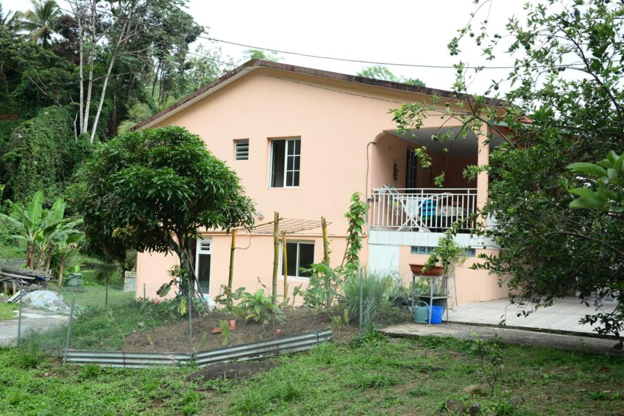 Maison Lavanne Saint-Joseph Ngoại thất bức ảnh